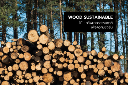 wood sustainable : ไม้ทรัพยากรธรรมชาติเพื่อความยั่งยืน