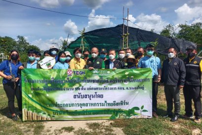 TEIL ร่วมบริจาคต้นพันธุ์กระท่อม 550 ต้น ให้แก่เกษตรกรโครงการแปลง คทช. หนองใหญ่