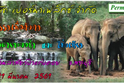 กิจกรรมเพื่อสังคมสร้างฝายชะลอน้ำและโป่งเทียม