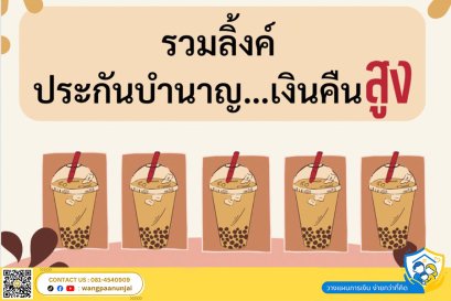 รวมลิ้งค์ประกันบำนาญยอดนิยมที่น่าสนใจ เงินคืนสูง เน้นผลประโยชน์บำนาญแต่ละปี