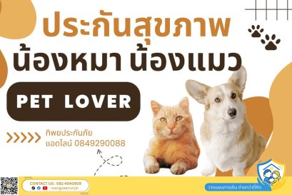 ประกันสุขภาพหมาแมว คุ้มครองค่ารักษาพยาบาลจากเจ็บป่วยและอุบัติเหตุ