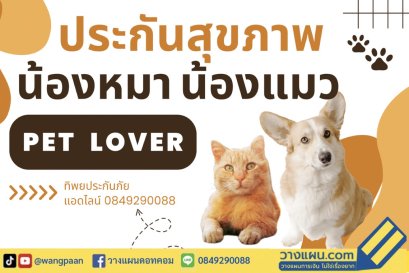 ประกันหมาแมว