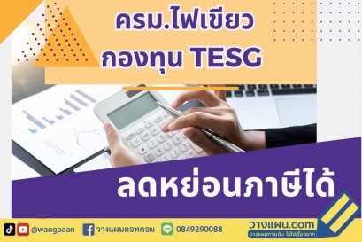 ลดหย่อนภาษี