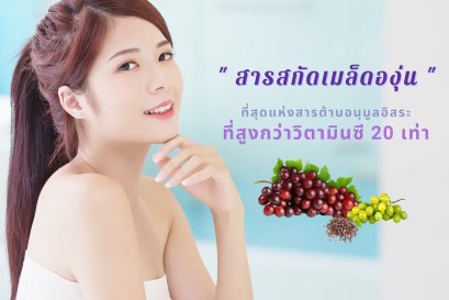 สารสกัดจากเมล็ดองุ่น