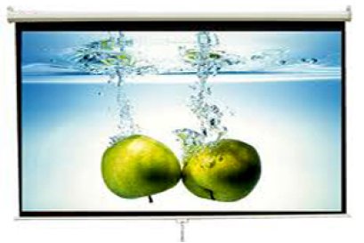 ขนาดของจอฉาย