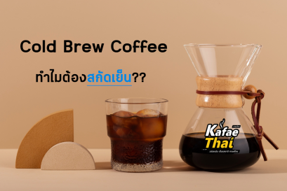 Cold Brew Coffee ทำไมต้องสกัดเย็น??