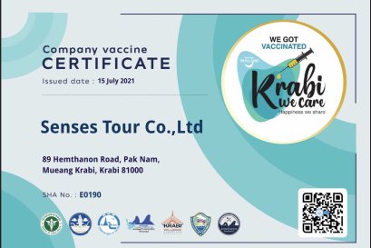 บริษัท เซนเซสทัวร์ จำกัด ได้รับ Company vaccine certificate