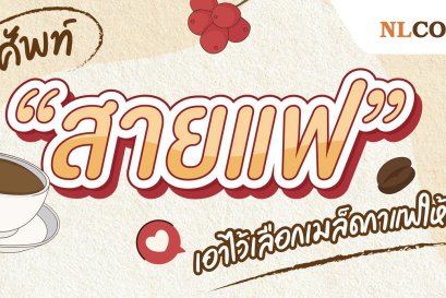 คำศัพท์ "สายแฟ"