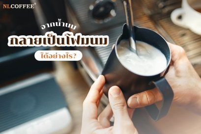 รู้หรือไม่ จากน้ำนมเย็นๆ กลายเป็นฟองนม เนื้อครีม เข้มข้น ได้อย่างไร