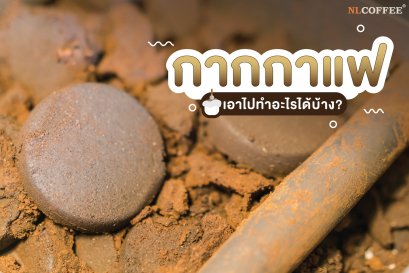 กากกาแฟ เอาไปทำอะไรได้?