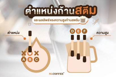 เทคนิคการวางก้านสตีม และ ระดับความสูงของก้านสตีม