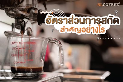 อัตราส่วนการสกัด สำคัญอย่างไร?