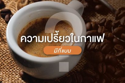 ความเปรี้ยวในกาแฟ มีกี่แบบ?