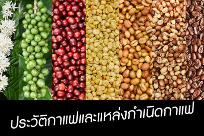 ประวัติความเป็นมาของ “กาแฟ”