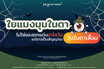 ใยแมงมุมในตา สัญญาณของวุ้นตาเสื่อม!!