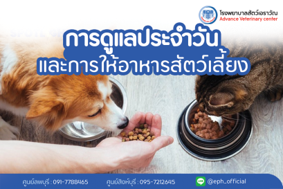 โรงพยาบาลสัตว์เอราวัณ (Erawan Pet Hospital)