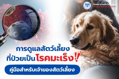 การดูแลสัตว์เลี้ยงที่ป่วยเป็นโรคมะเร็ง : คู่มือสำหรับเจ้าของสัตว์เลี้ยง