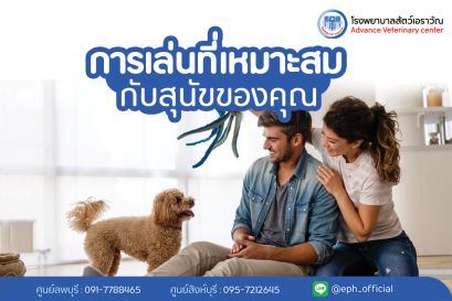 โรงพยาบาลสัตว์เอราวัณ (Erawan Pet Hospital)