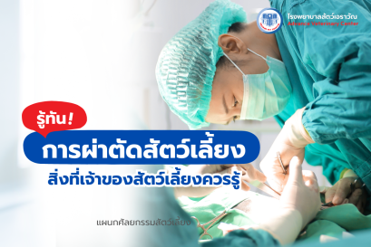 การผ่าตัดสัตว์เลี้ยง สิ่งที่เจ้าของสัตว์เลี้ยงควรรู้
