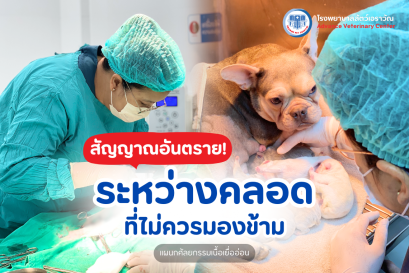 สัญญาณอันตรายระหว่างคลอด ที่ไม่ควรมองข้าม