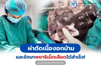 ผ่าตัดเนื้องอกม้ามและรักษาพยาธิเม็ดเลือดได้สำเร็จ