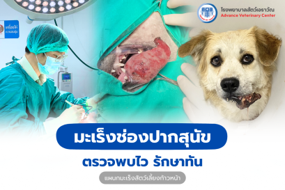 มะเร็งช่องปากสุนัข ตรวจพบไว รักษาได้ทัน!