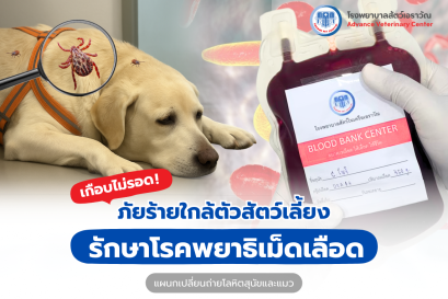 Prevent and Treat Blood Parasite Infections in Dogs