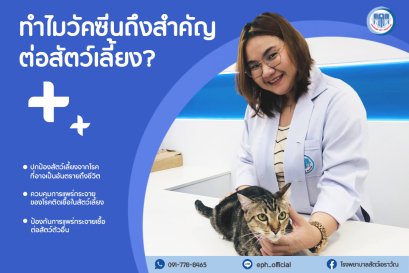 เหตุผลที่วัคซีนสำคัญต่อสุขภาพสัตว์เลี้ยงของคุณ