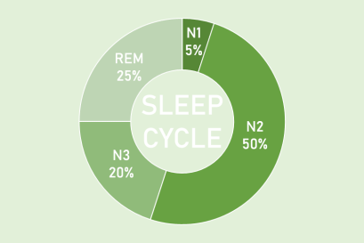 เบื้องหลังการนอนหลับ: ความสำคัญของการหลับแบบ REM