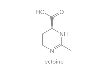 ectoin