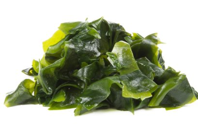 seaweed extract 