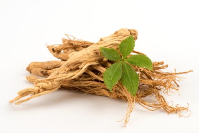 Ginseng Extract 