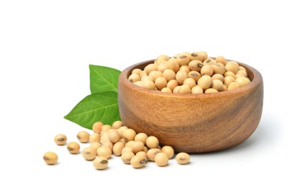 สารสกัดจากถั่วเหลือง