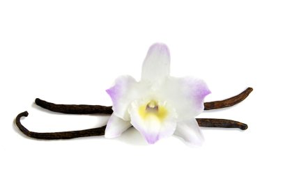 ดอกกล้วยไม้