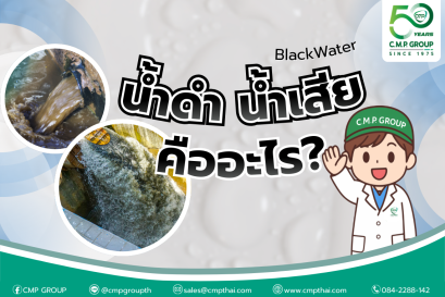 น้ำดำ (Blackwater) คืออะไร? และต้องจัดการอย่างไร ให้ถูกวิธี