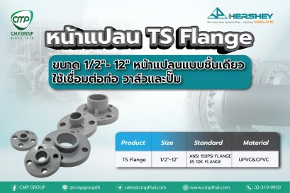 มาทำความรู้จักกับ หน้าแปลน TS Flange | HERSHEY
