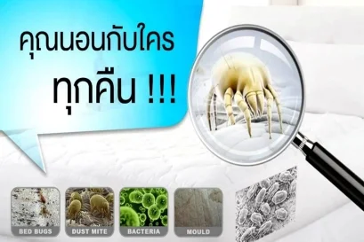 เครื่องดูดไรฝุ่นระบบน้ำ