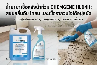 น้ำยาฆ่าเชื้อหลังน้ำท่วม