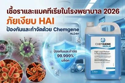 เชื้อราและแบคทีเรียในโรงพยาบาล 2026 