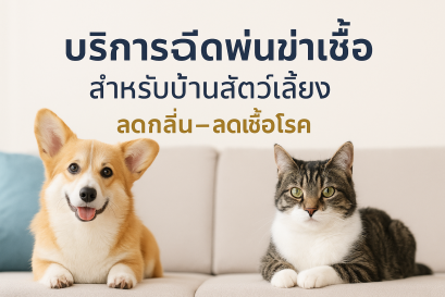 บริการฉีดพ่นฆ่าเชื้อ