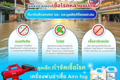 เชื้อรา เชื้อโรค แบคทีเรีย อันตรายต่อสุขภาพ 2026 บริการพ่นฆ่าเชื้อ World Health Disinfection