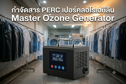 How Ozone Treatment Erased 4 Years of Cat Urine Smell From an 8-Cat Home