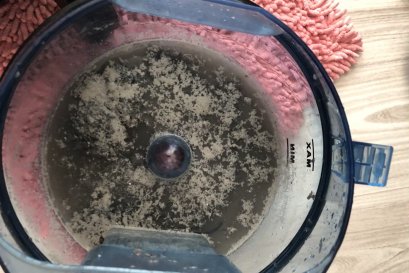 The Water Went Down But the Smell Never Did: Mould Hiding Inside a Flooded Sofa