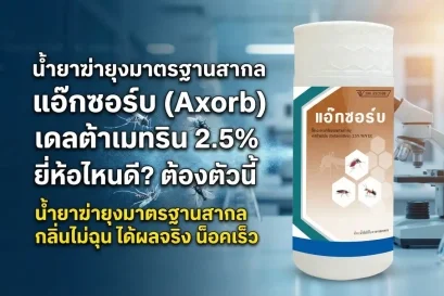 น้ำยาฆ่ายุง