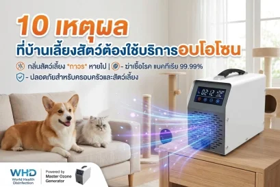 บริการอบโอโซน 