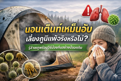 นอนเต้นเหม็นอับ