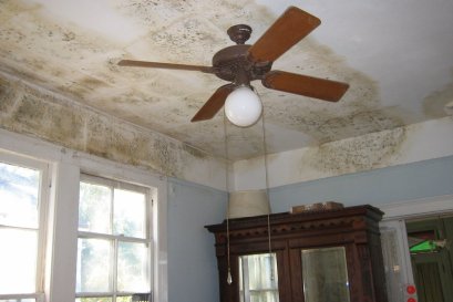 Family Photos, Albums and Paintings Soaked by the Flood: How Do You Rescue the Memories Without Causing More Damage? Send the Pictures to Specialists, Then Disinfect and Ozone-Treat the Living Room and Storage Room in Dusit, Bangkok (2026)