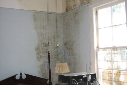 Wooden Bed, Upholstered Headboard and Bedroom Furniture Moldy After the Flood: When Is It Safe to Sleep There Again? Sort Out What to Keep and What to Discard, Then Remove Bedroom Mold With Disinfection Fogging and Ozone in Lat Krabang, Bangkok (2026)