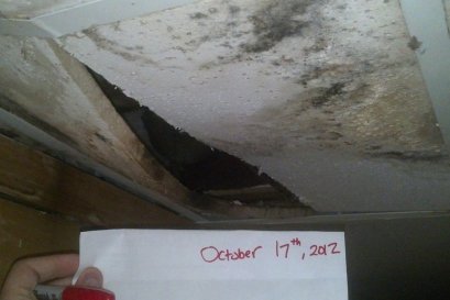 Is Your Bathroom and Kitchen Still Damp Weeks After the Flood Because the Exhaust Fan and Vent Duct Stopped Working? How to Check Your Ventilation After a Flood, Get an Electrician to Clear It Before Use, and Remove Mold With Disinfection Fogging and Ozon