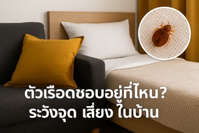 ตัวเรือดชอบอยู่ที่ไหน